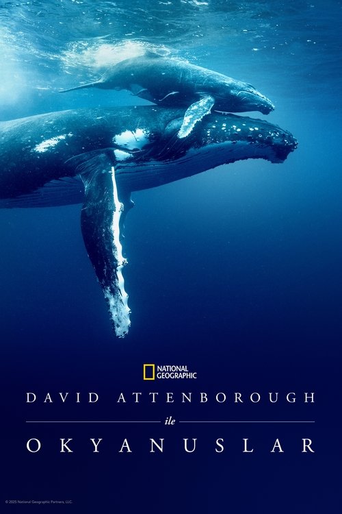 David Attenborough ile Okyanuslar