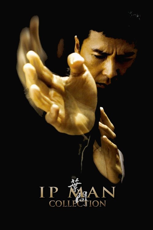 Ip Man [Seri]